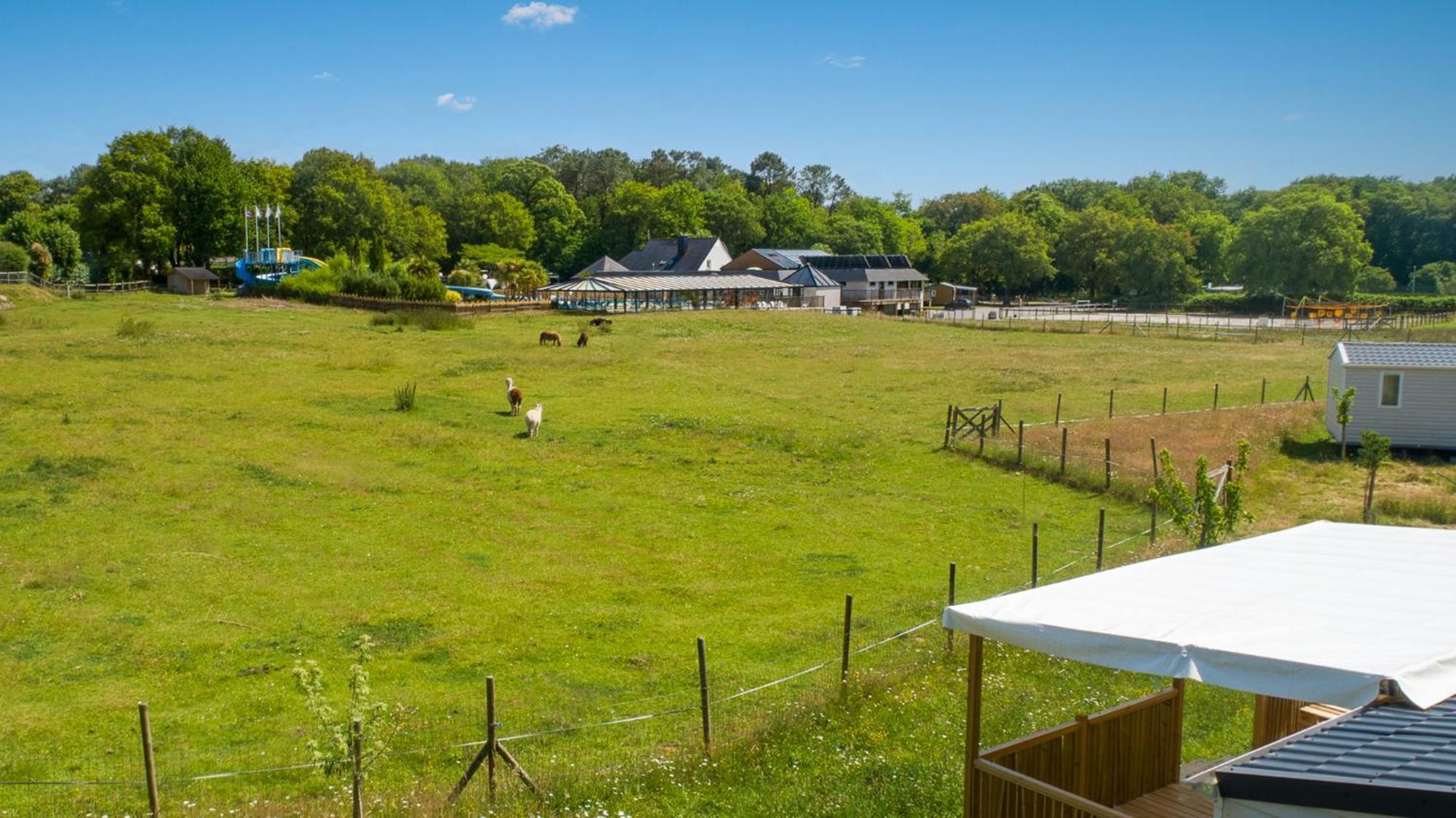 Camping Monterblanc Kültér fotó